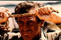 Кадр Профессионал