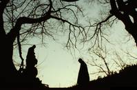 Кадр Почему Бодхидхарма ушел на Восток?