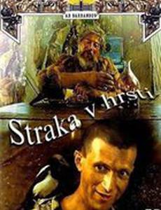 Сорока в кулаке