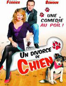 Развод по-собачьи