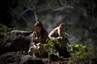 Кадр Ключ Саламандры