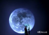 Кадр Букашки! 3D