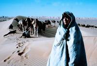 Кадр Под покровом небес