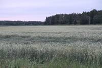 Кадр Шопинг-тур