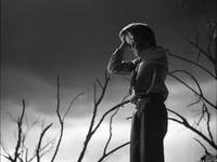 Кадр Франкенвини