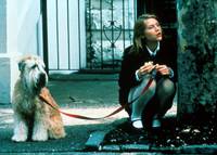 Кадр Я люблю тебя, я тебя не люблю