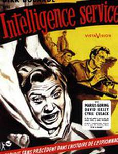 Ночная засада