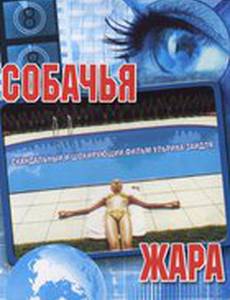 Собачья жара