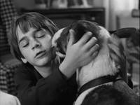 Кадр Франкенвини