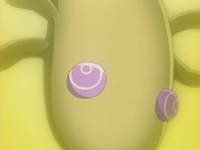 Кадр Сержант Кэроро