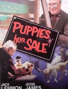 Щенки на продажу