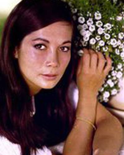 Нэнси Кван фото