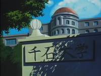 Кадр Чудотворные рыцари