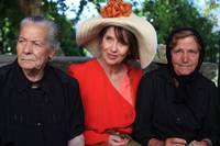 Кадр Золотая клетка