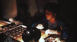 Кадр из фильма "Золотые цепи" - 2