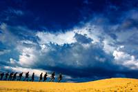 Кадр Незламна