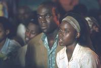 Кадр Отстреливая собак