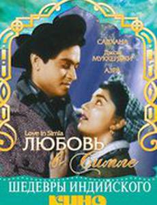 Любовь в Симле