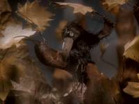 Кадр Боцман и попугай