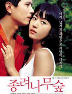 Роща веерных пальм