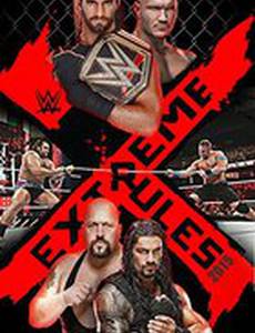 WWE Экстремальные правила