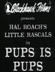 Щенки есть щенки