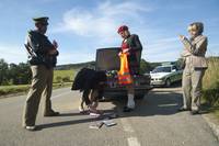 Кадр Очень горячий номер