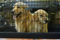 Кадр Принцы воздуха (видео)