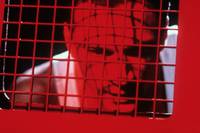 Кадр Зона тьмы