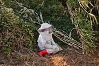 Кадр Чудеса