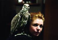 Кадр Соколы