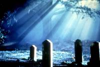 Кадр Ночной полет