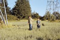 Кадр Жестокий ручей