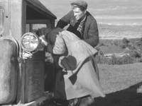 Кадр Дело было в Пенькове