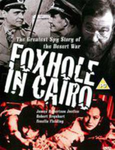 Убежище в Каире