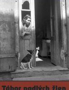 Лагерь падших женщин