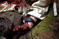 Кадр Дикость