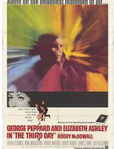 Третий день