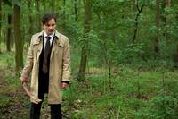 Кадр Колоски