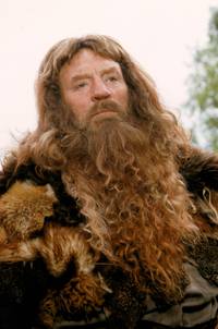 Кадр Новые приключения Робин Гуда