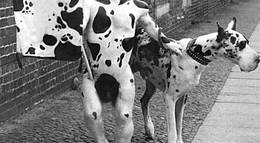 Кадр из фильма "Фрик Орландо" - 2