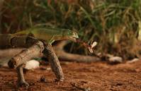 Кадр Осажденная крепость