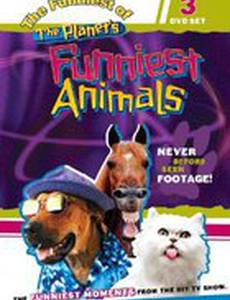 Самые забавные животные планеты