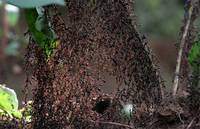 Кадр Осажденная крепость