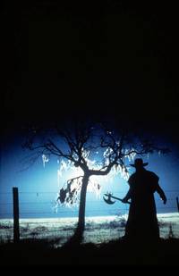 Кадр Джиперс Криперс