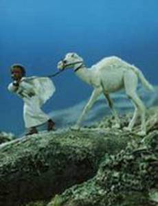 Аль-Фатиха. Мусульманская молитва