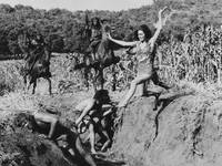 Кадр Планета обезьян