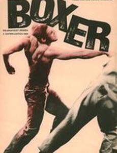 Боксер