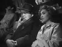 Кадр Собачья жизнь