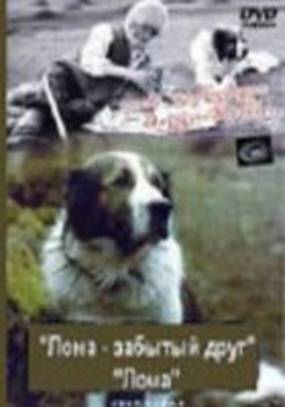 Лома – забытый друг